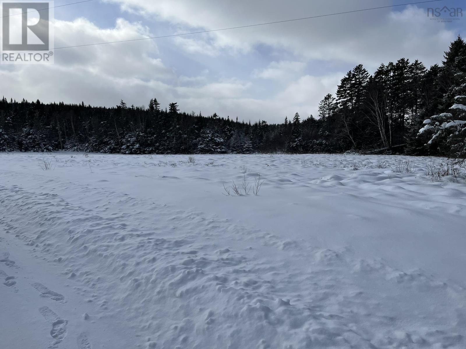 100 Acres Spencers Beach (hwy 209) Road Property Photo 1