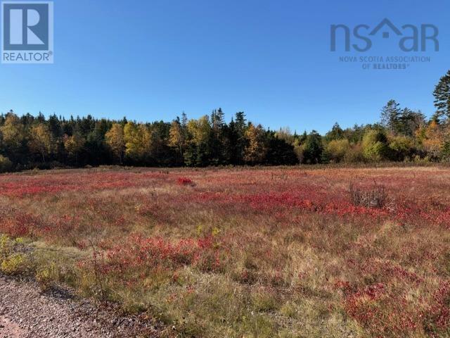 100 Acres Spencers Beach (hwy 209) Road Property Photo 1