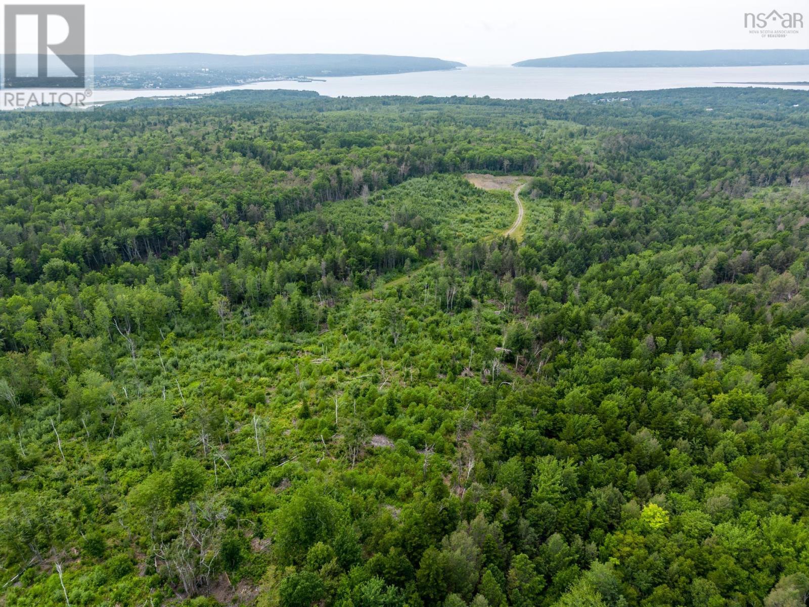 Lot 3 Back Road Property Photo 5