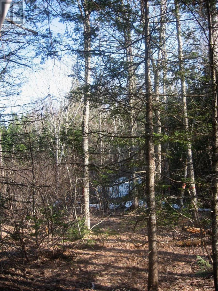 Lot 1 Hunter Road Property Photo 4