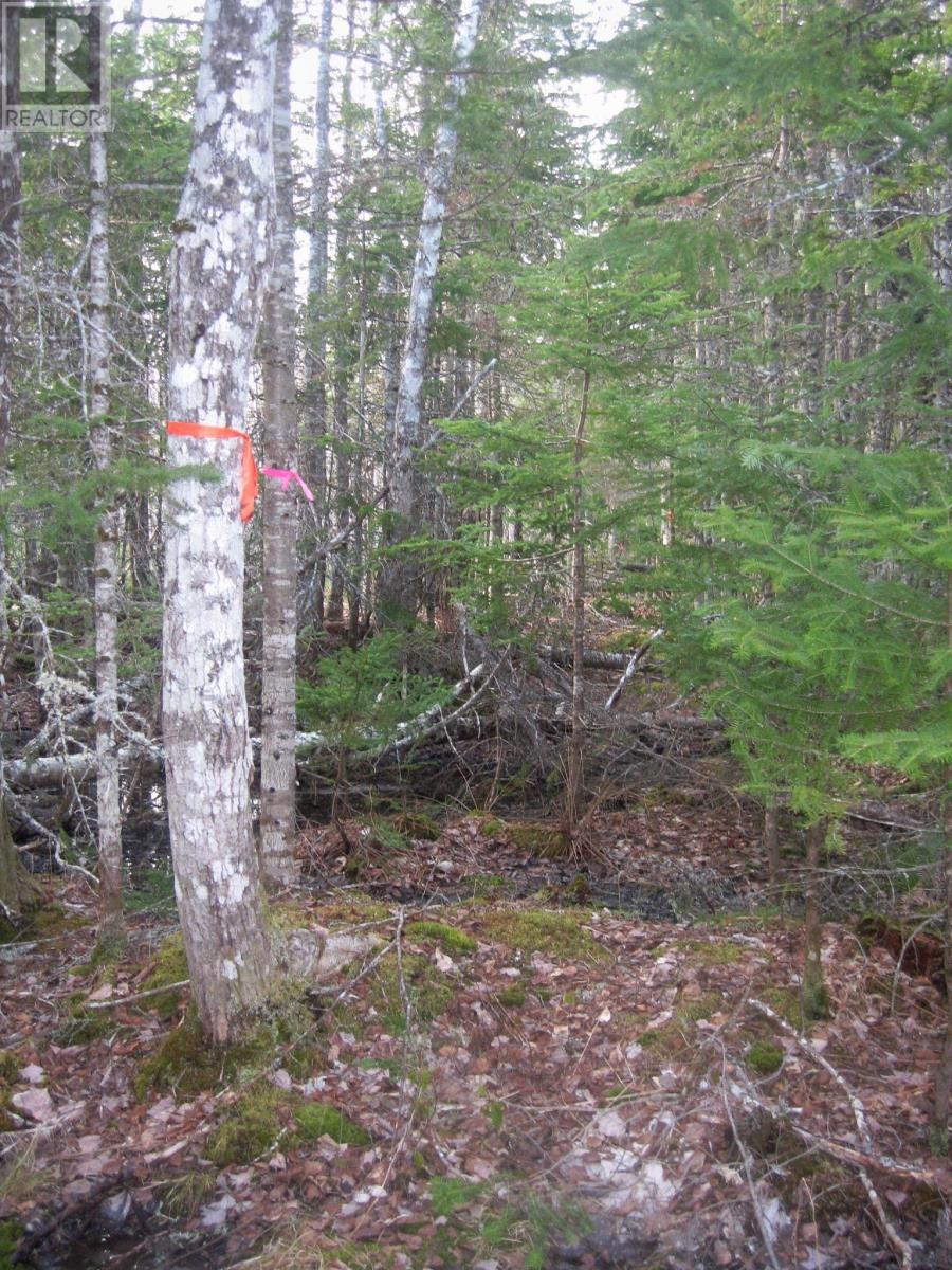 Lot 1 Hunter Road Property Photo 7