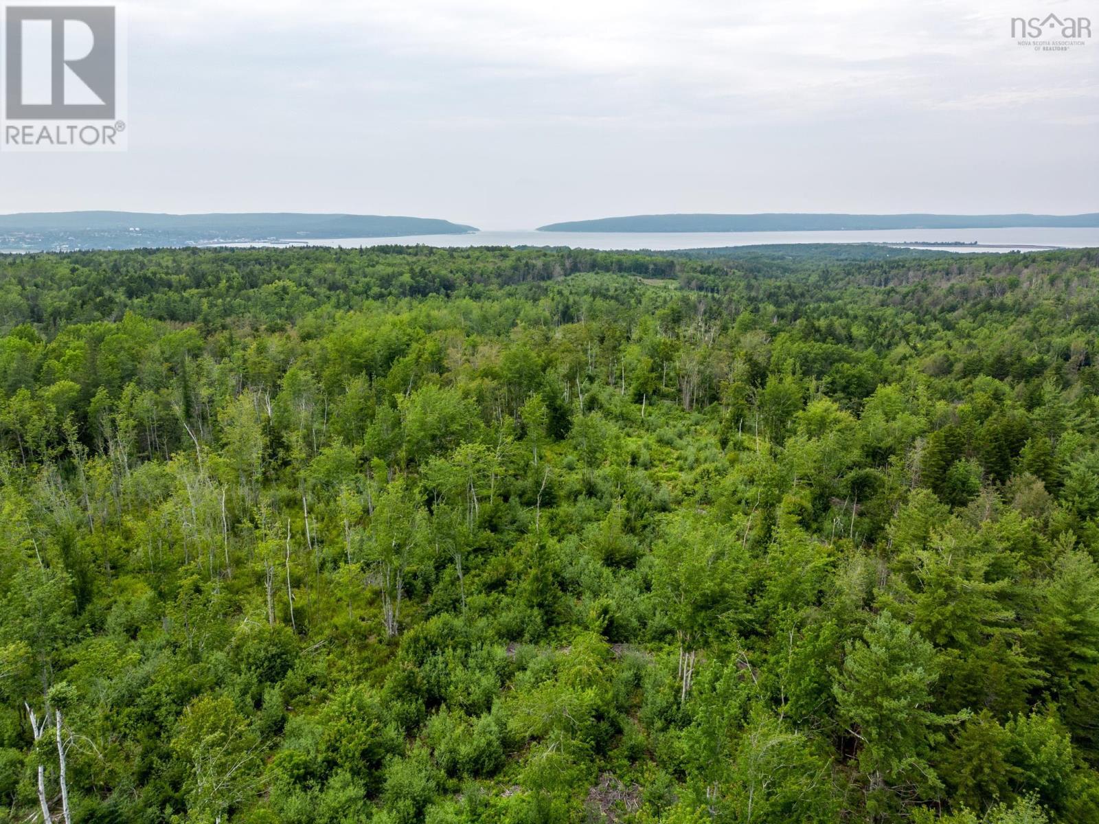 Lot 2 Back Road Property Photo 6