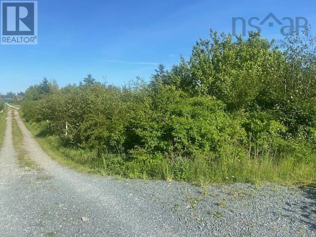 Lot Williams Lane Property Photo 4