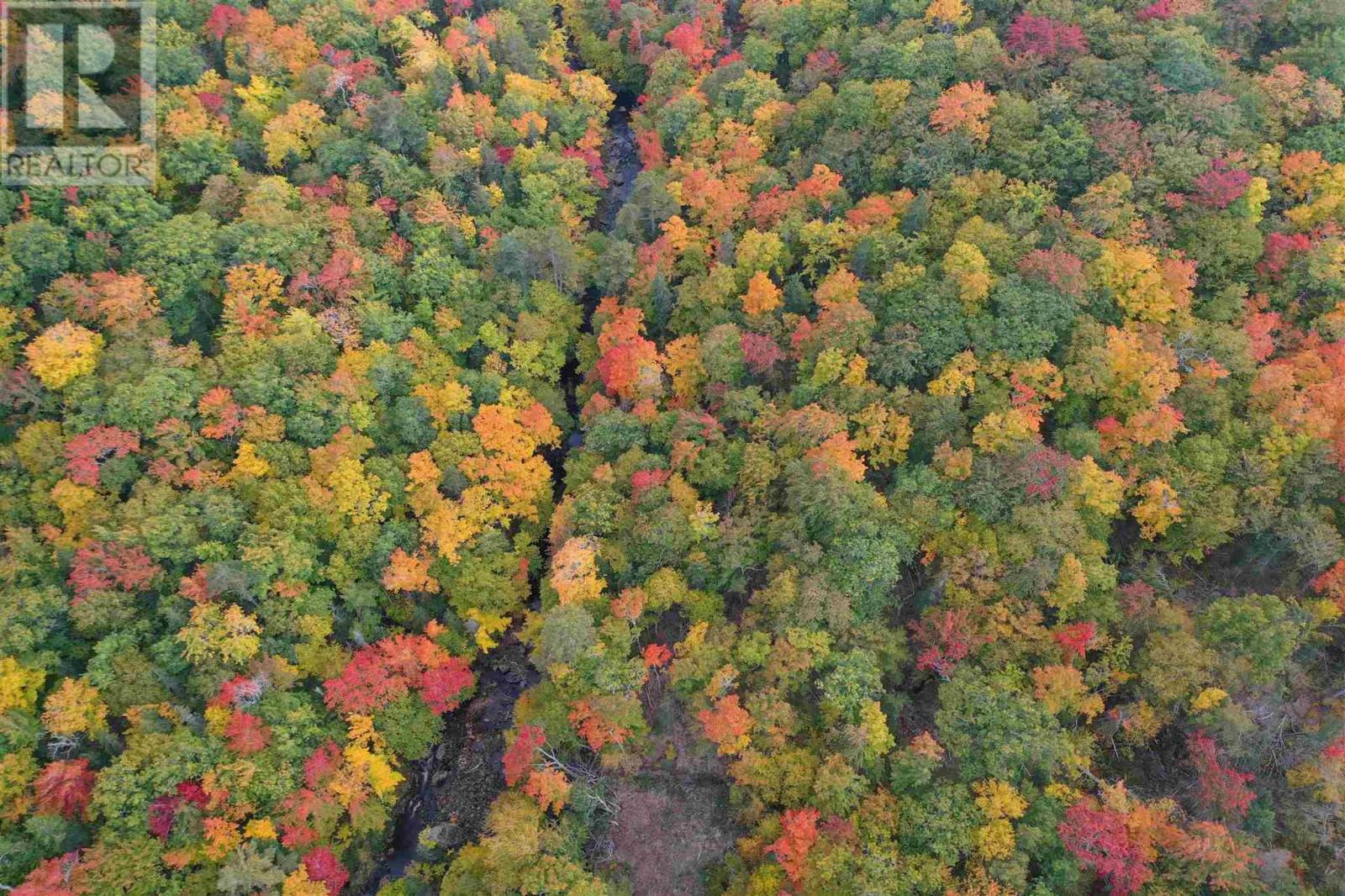 Cabot Trail, Sunrise Valley Property Photo 4