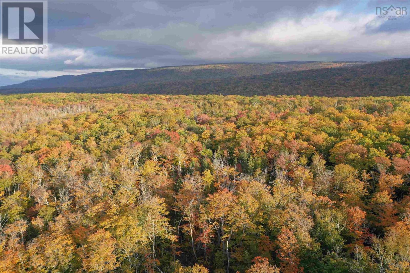 Cabot Trail, Sunrise Valley Property Photo 15