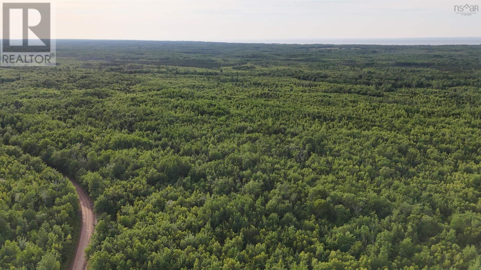 458 Acres Protection Road Property Photo 1