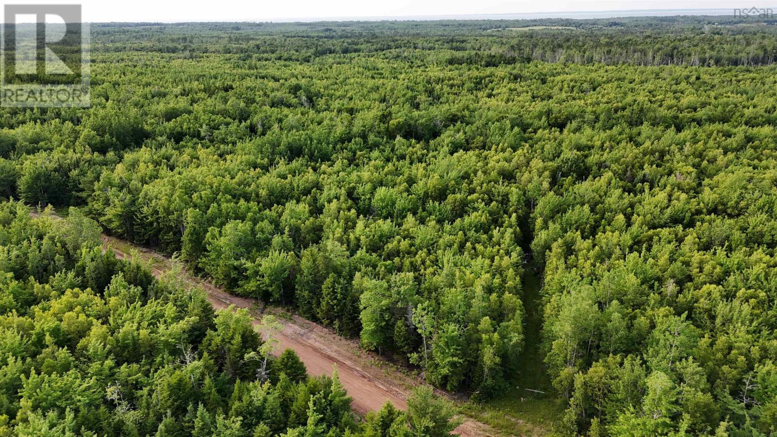 458 Acres Protection Road Property Photo 3