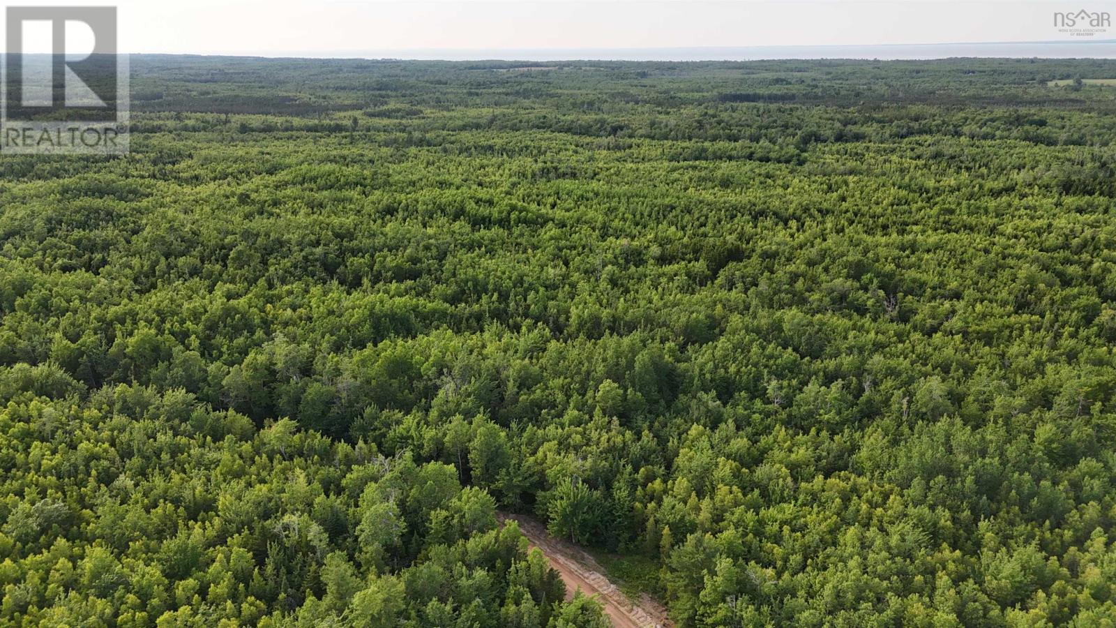 458 Acres Protection Road Property Photo 4