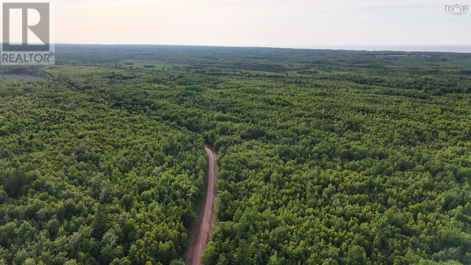 458 Acres Protection Road Property Photo 5