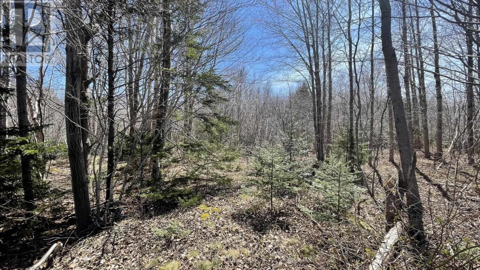 Lot 2 Jordantown Cross Road Property Photo 2