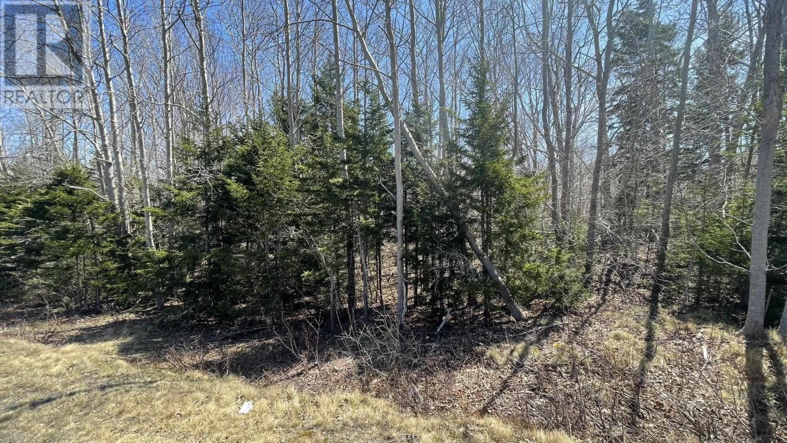 Lot 2 Jordantown Cross Road Property Photo 3