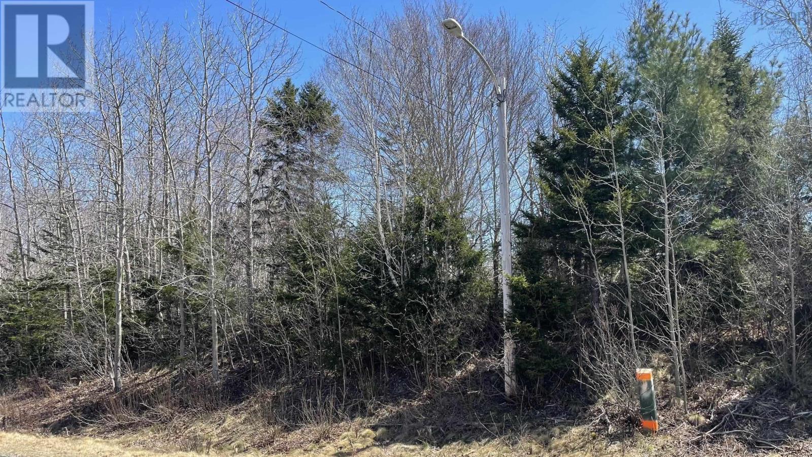 Lot 2 Jordantown Cross Road Property Photo 4