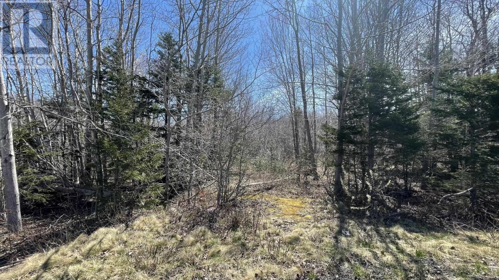 Lot 2 Jordantown Cross Road Property Photo 5