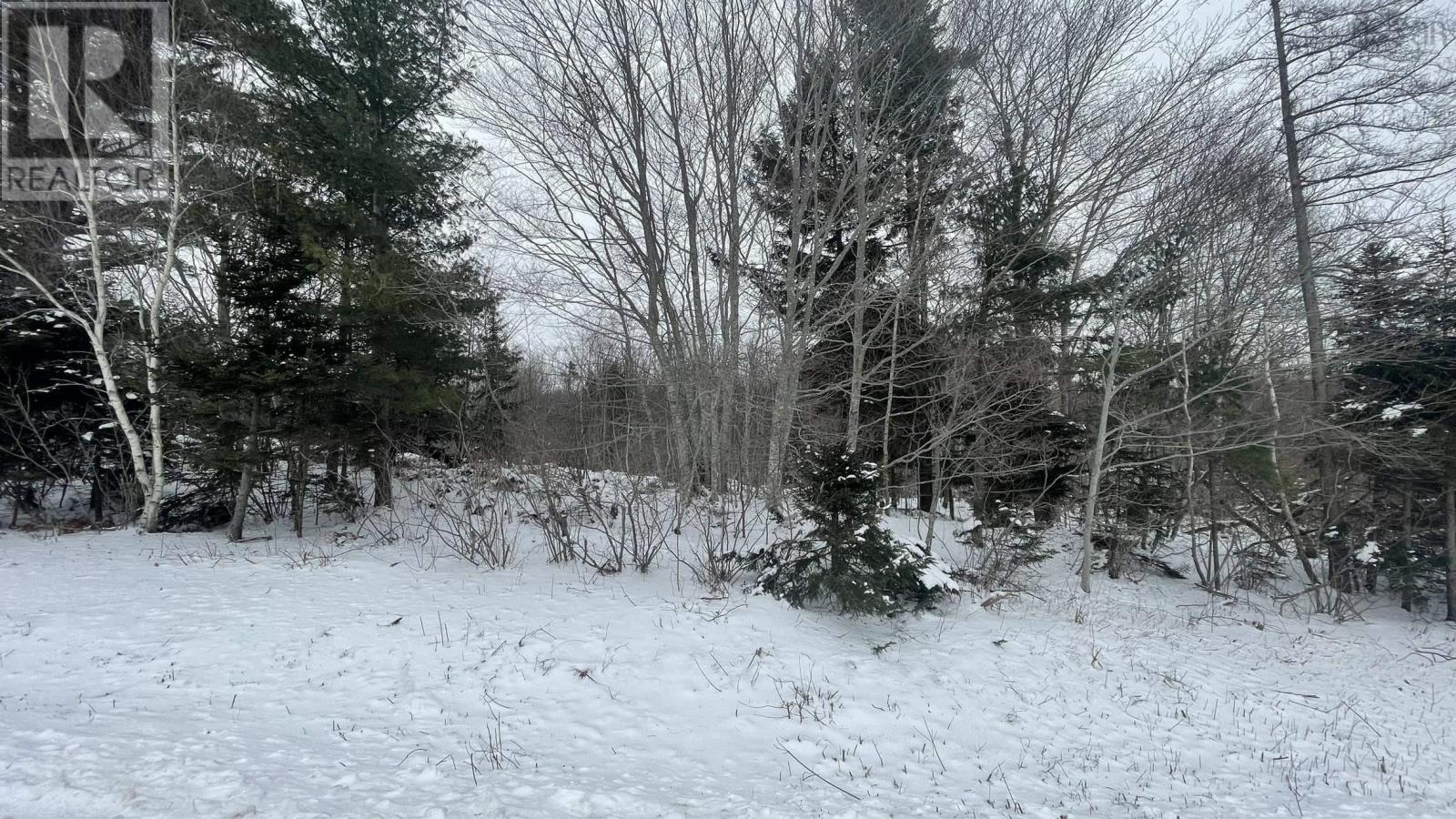 Lot 2 Jordantown Cross Road Property Photo 12