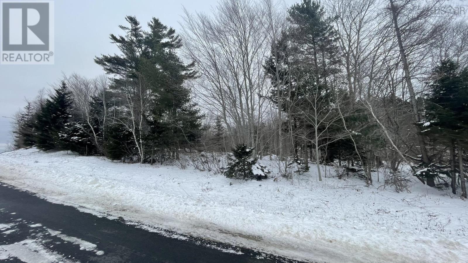 Lot 2 Jordantown Cross Road Property Photo 14