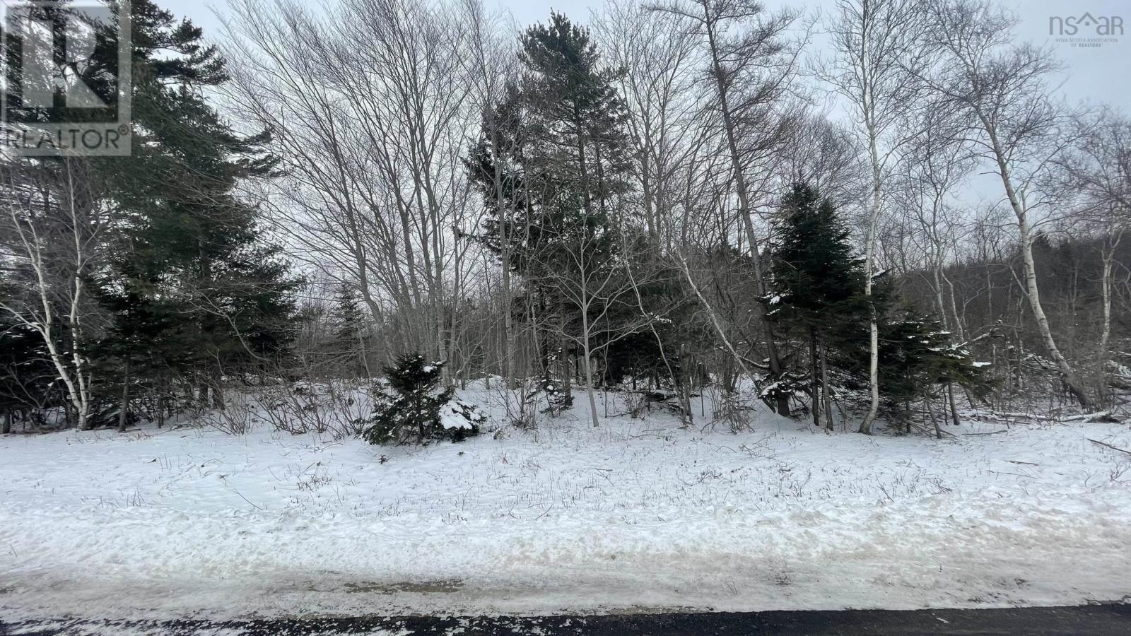 Lot 2 Jordantown Cross Road Property Photo 15
