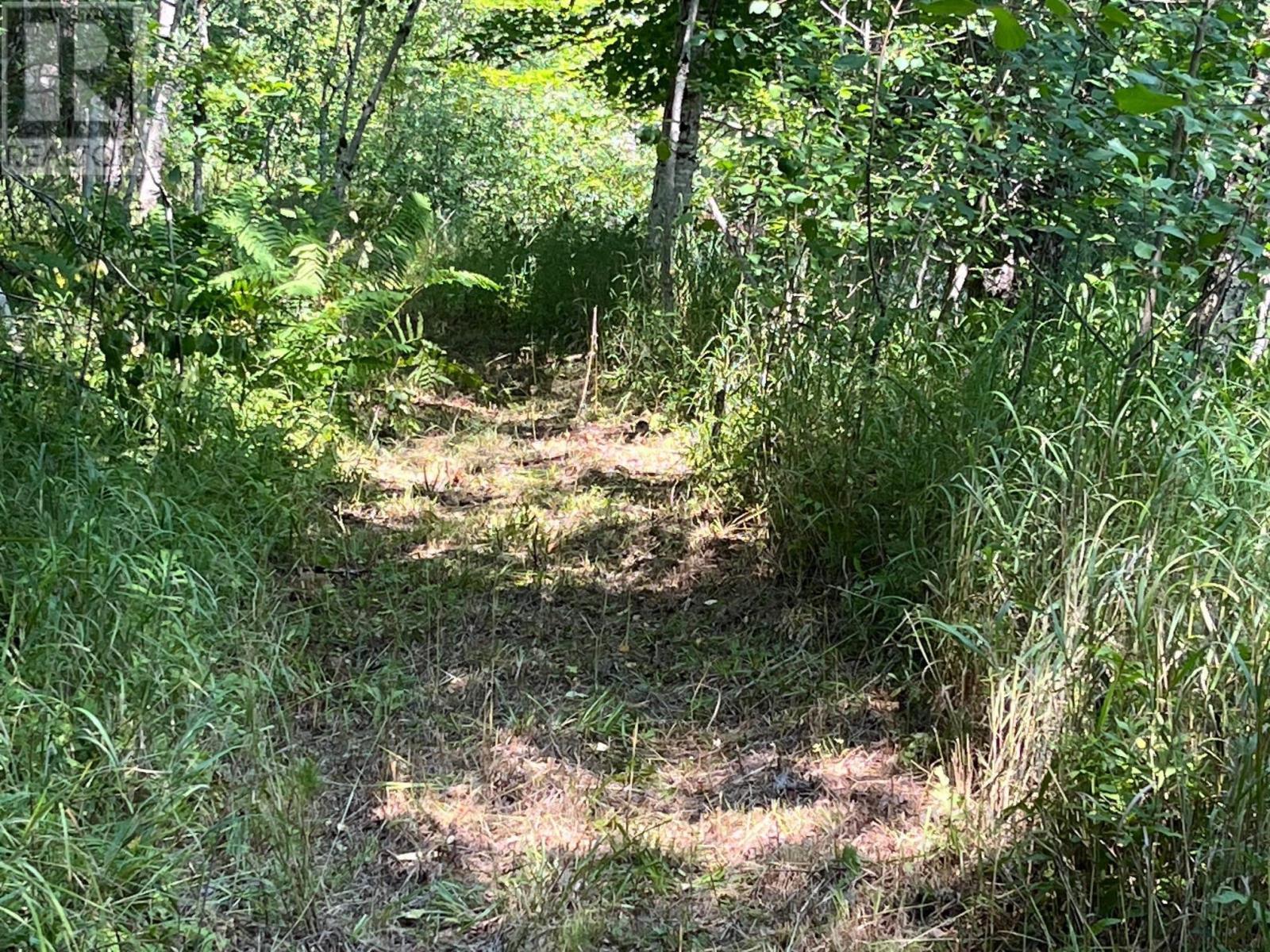 Lot 24-1 Mckeen Road Property Photo 16