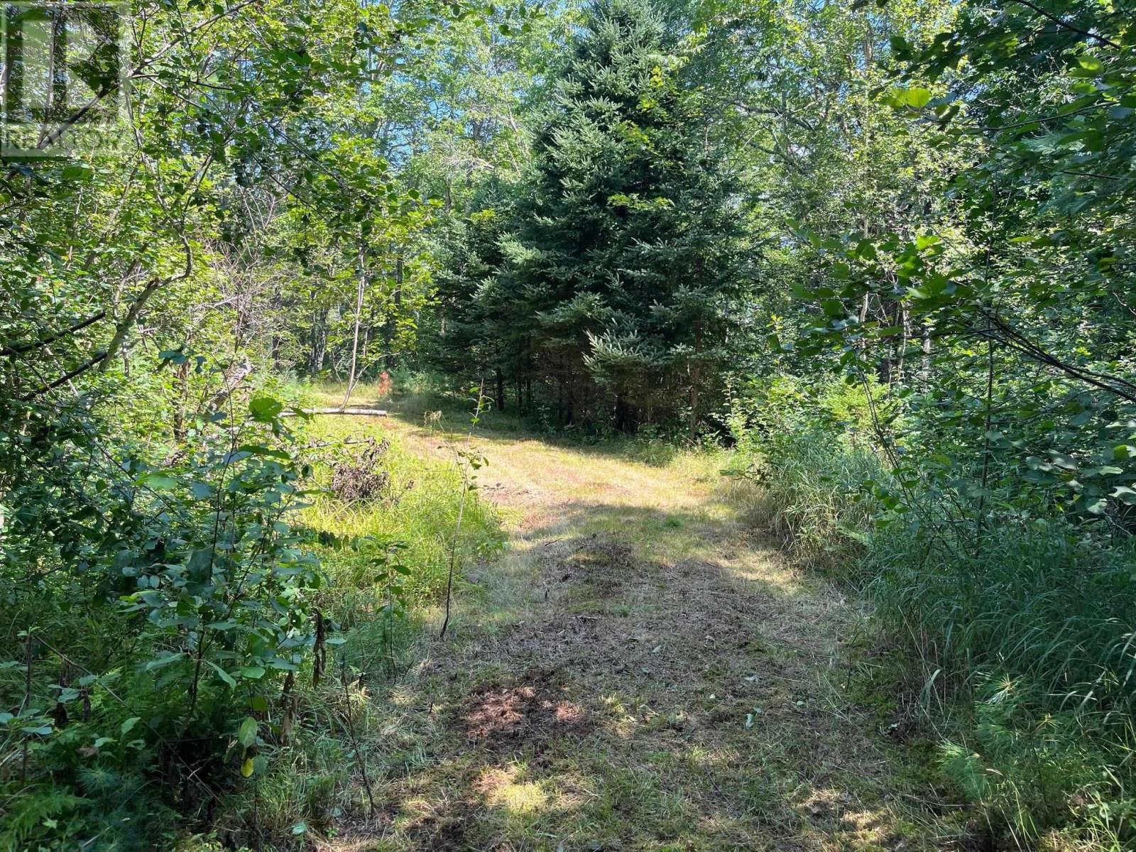 Lot 24-1 Mckeen Road Property Photo 18