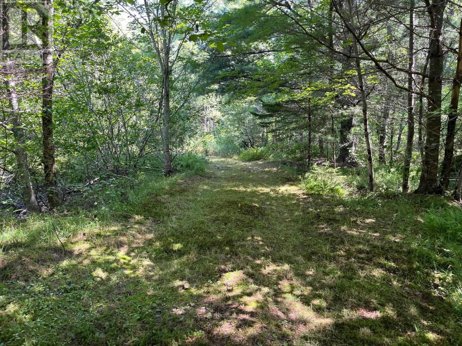 Lot 24-1 Mckeen Road Property Photo 19