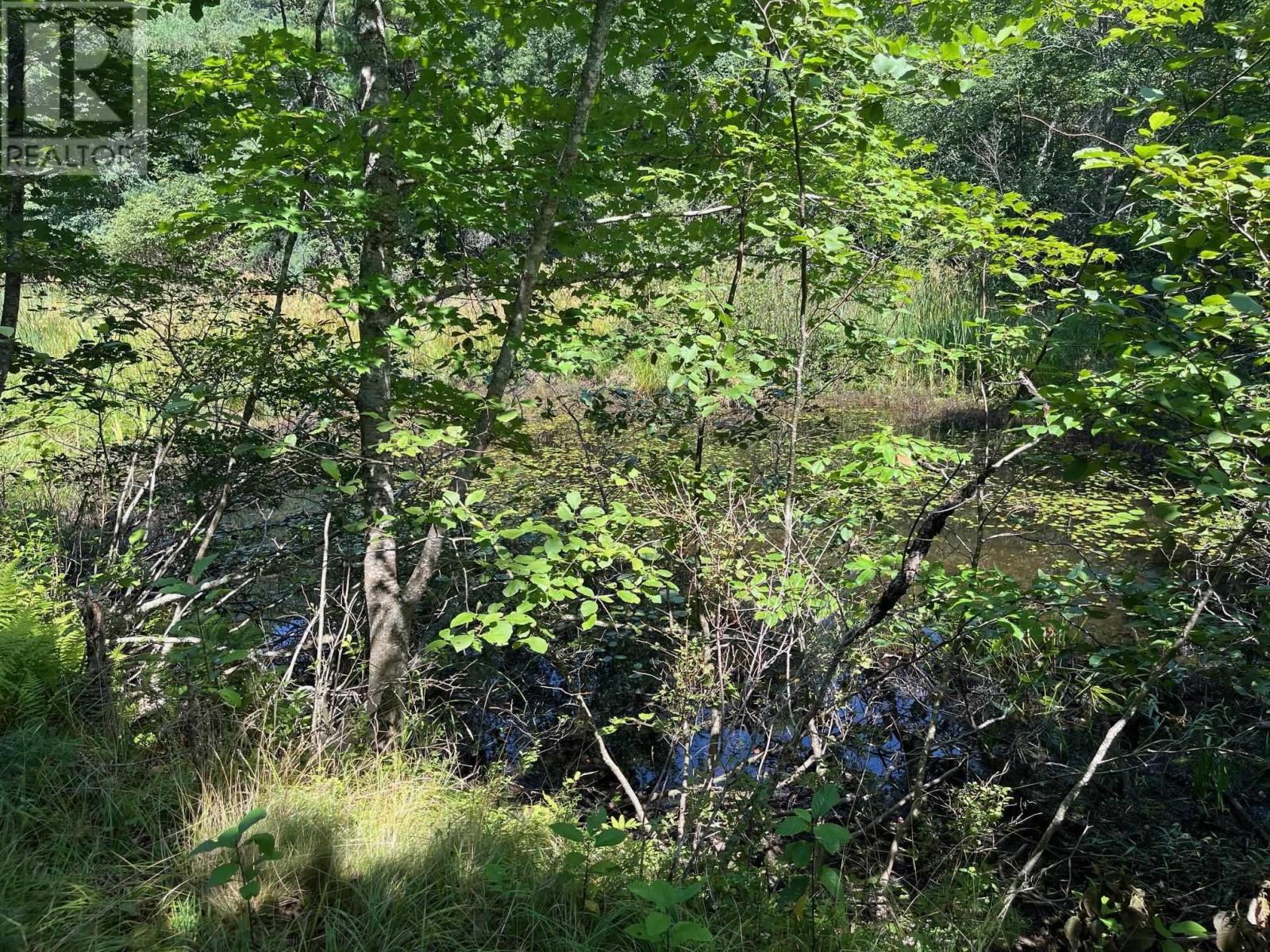 Lot 24-1 Mckeen Road Property Photo 23