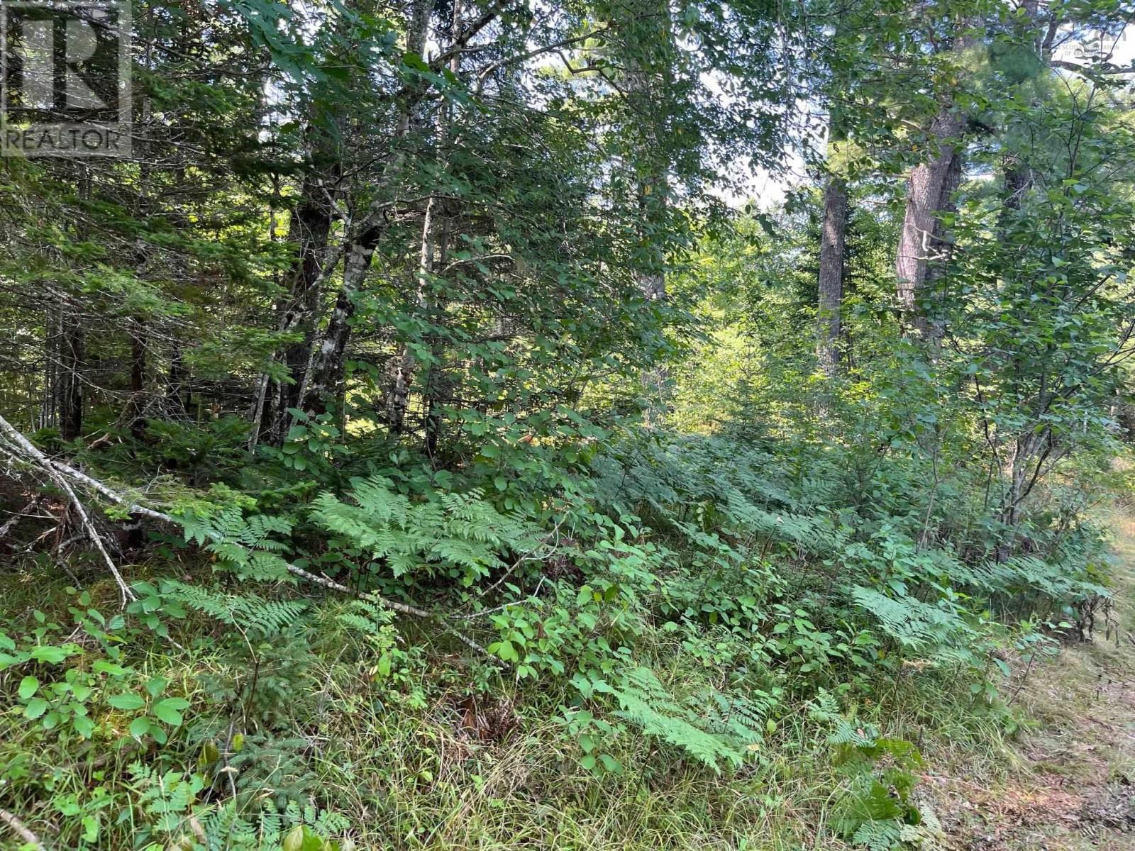 Lot 24-1 Mckeen Road Property Photo 25