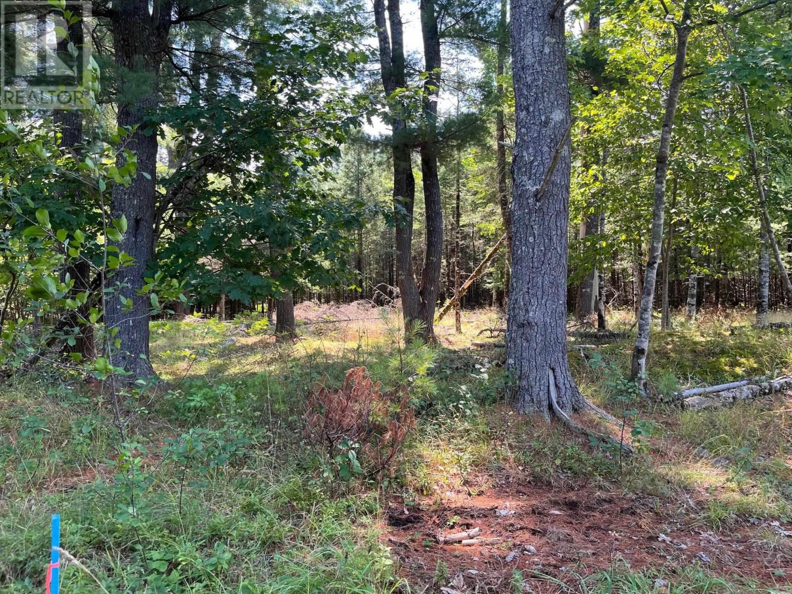 Lot 24-1 Mckeen Road Property Photo 26
