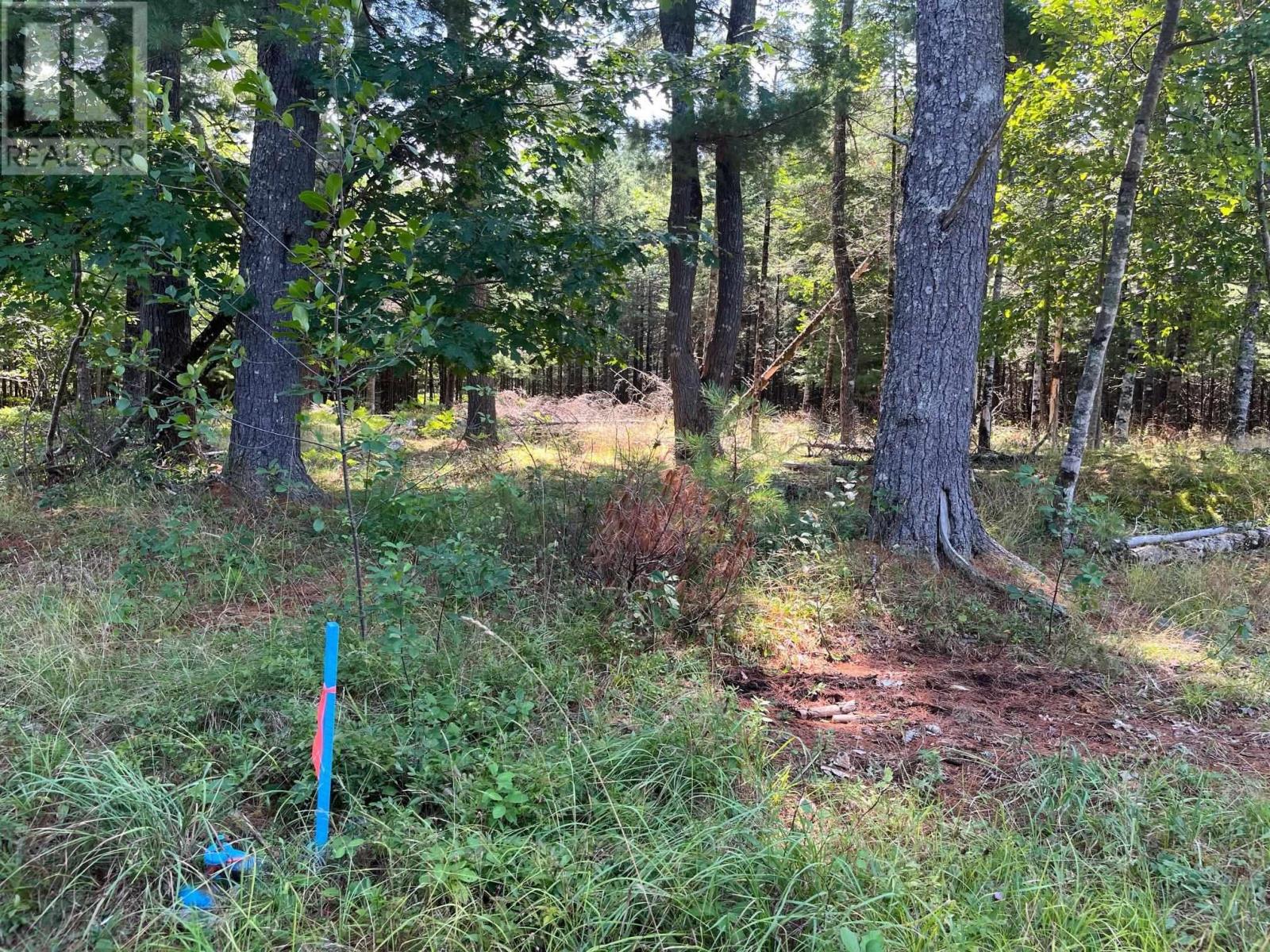 Lot 24-1 Mckeen Road Property Photo 27