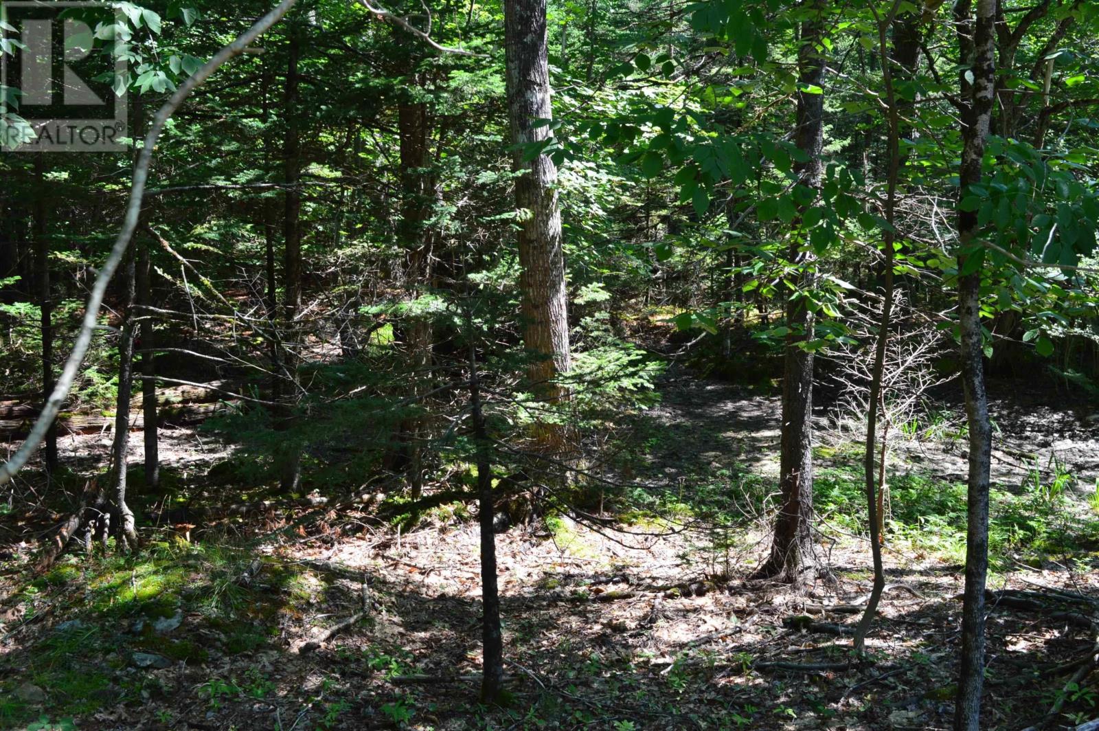 Lot 24-1 Mckeen Road Property Photo 33