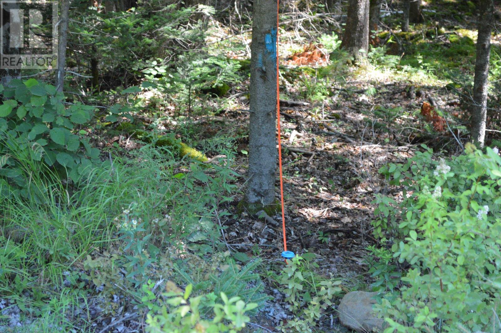 Lot 24-1 Mckeen Road Property Photo 34