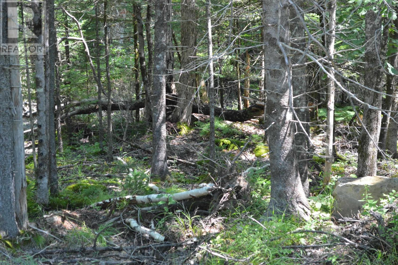 Lot 24-1 Mckeen Road Property Photo 35