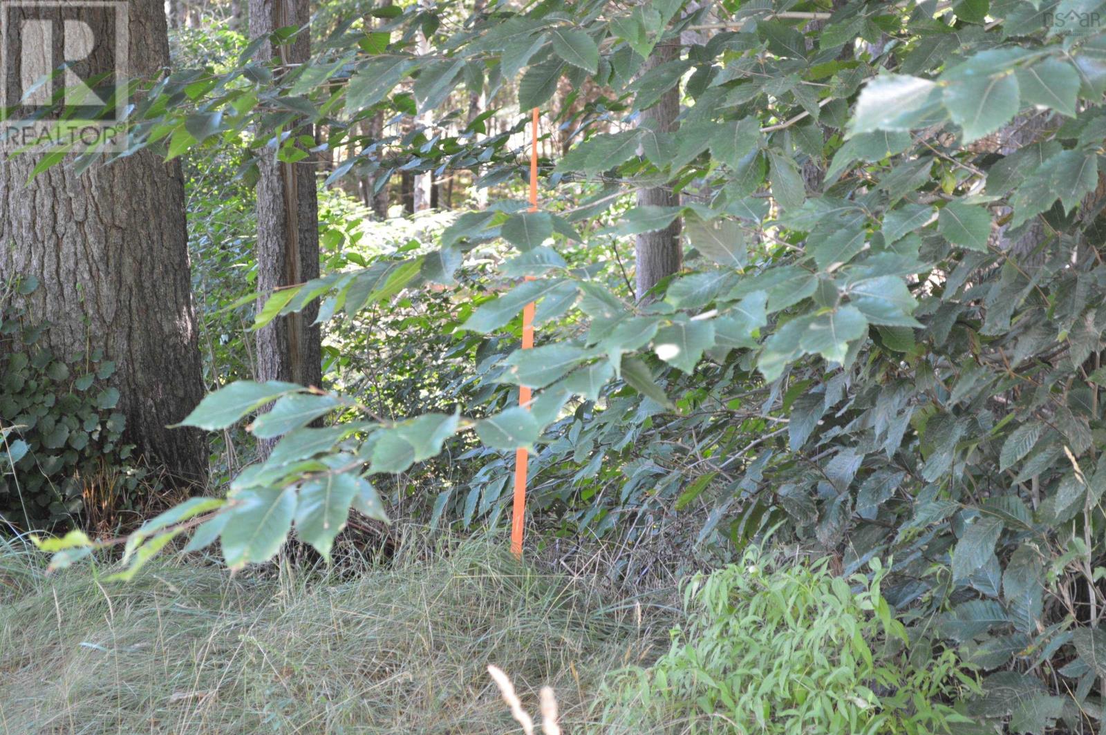 Lot 24-1 Mckeen Road Property Photo 36