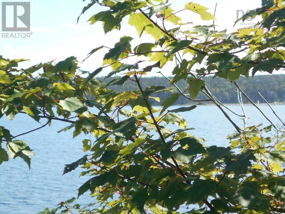 Lot 2 Shad Bay, Lot 2 Grant 1033 Northwesthead Property Photo 3