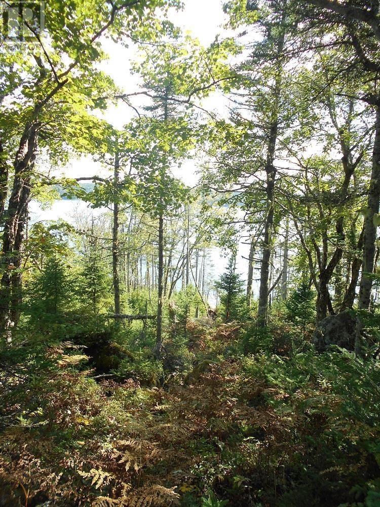 Lot 2 Shad Bay, Lot 2 Grant 1033 Northwesthead Property Photo 13
