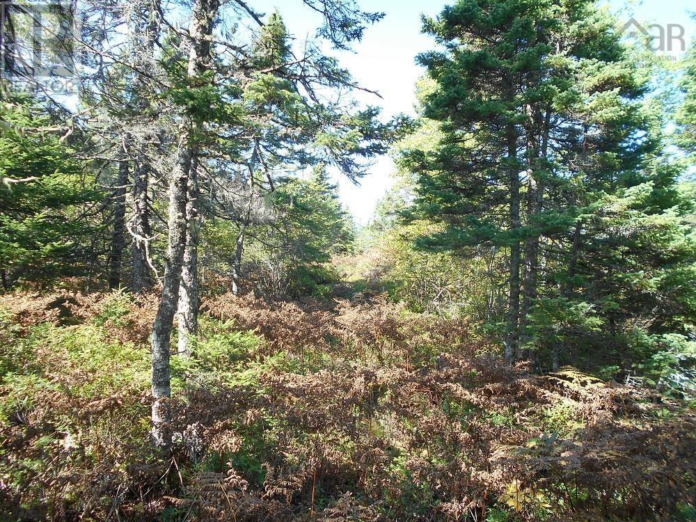 Lot 2 Shad Bay, Lot 2 Grant 1033 Northwesthead Property Photo 14