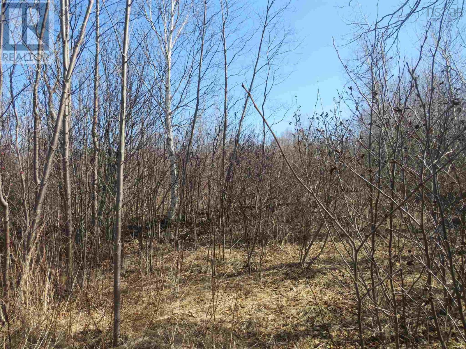 Lot 6 Shore Road Property Photo 3