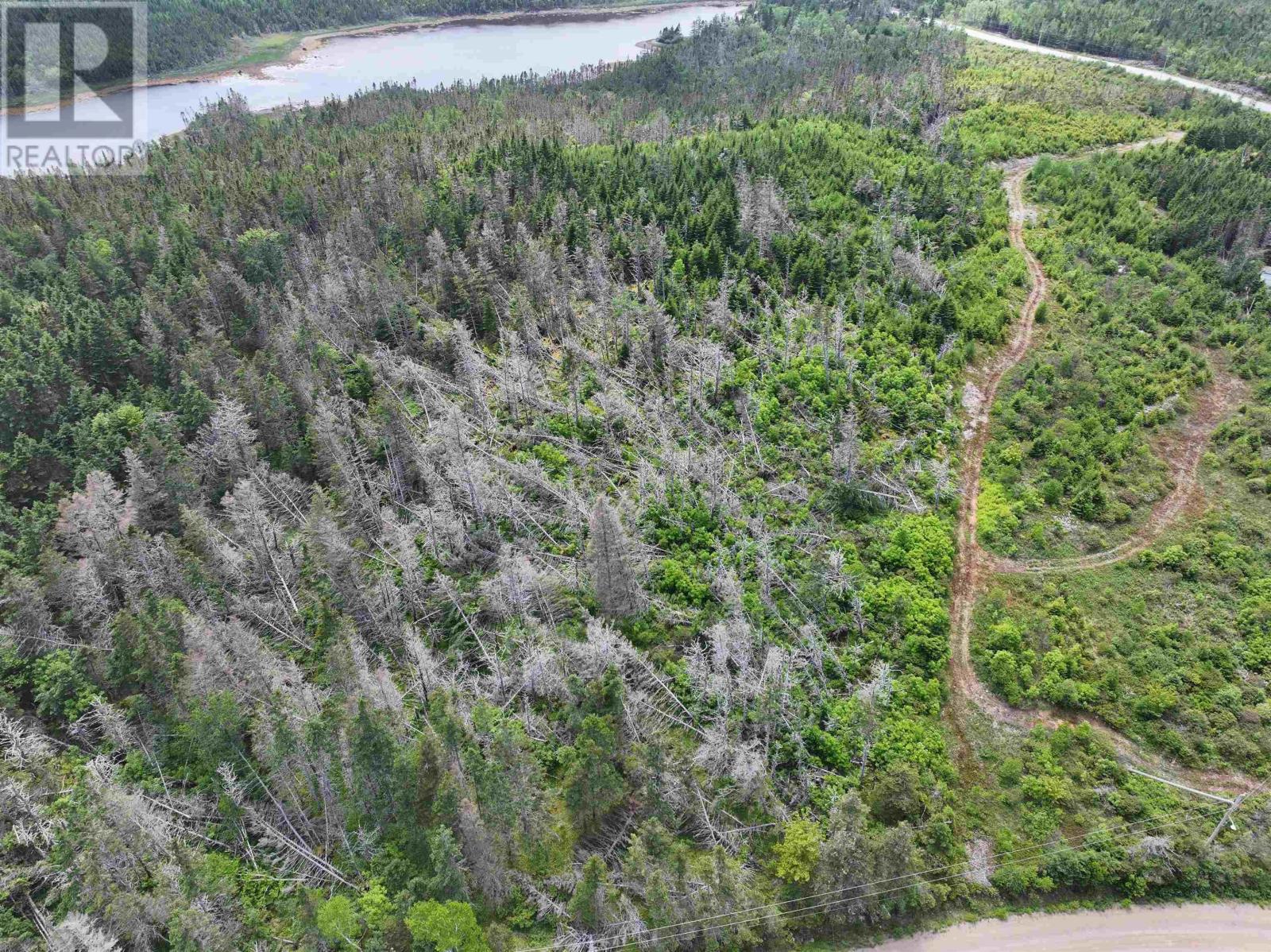 Lot 1 Mackinley Point Road Property Photo 6