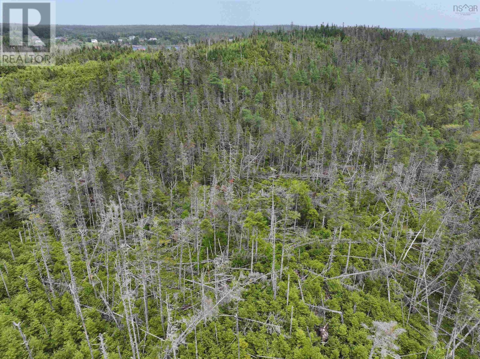 Lot 1 Mackinley Point Road Property Photo 14