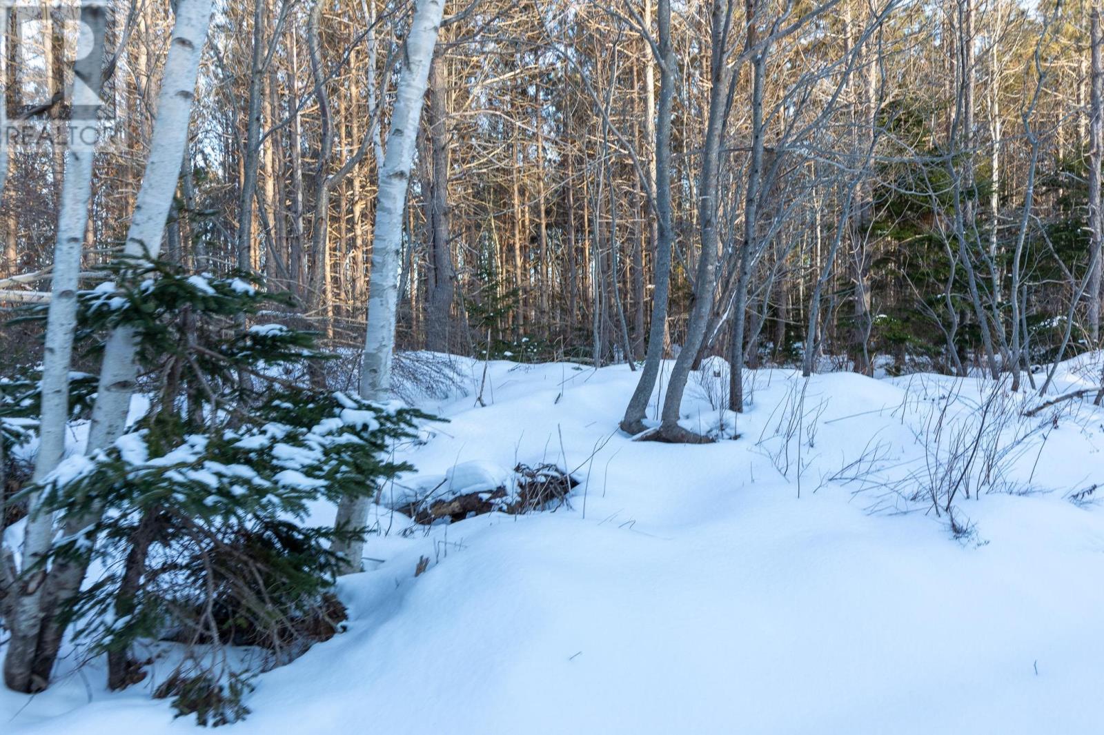 Lot 19 Swallow Point Road Property Photo 4