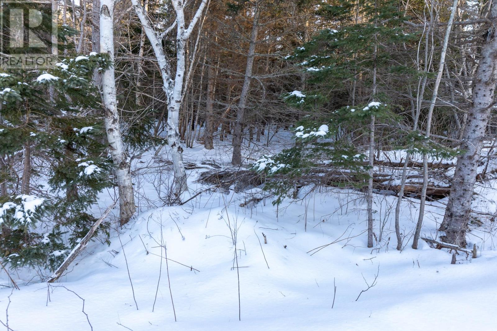 Lot 19 Swallow Point Road Property Photo 5