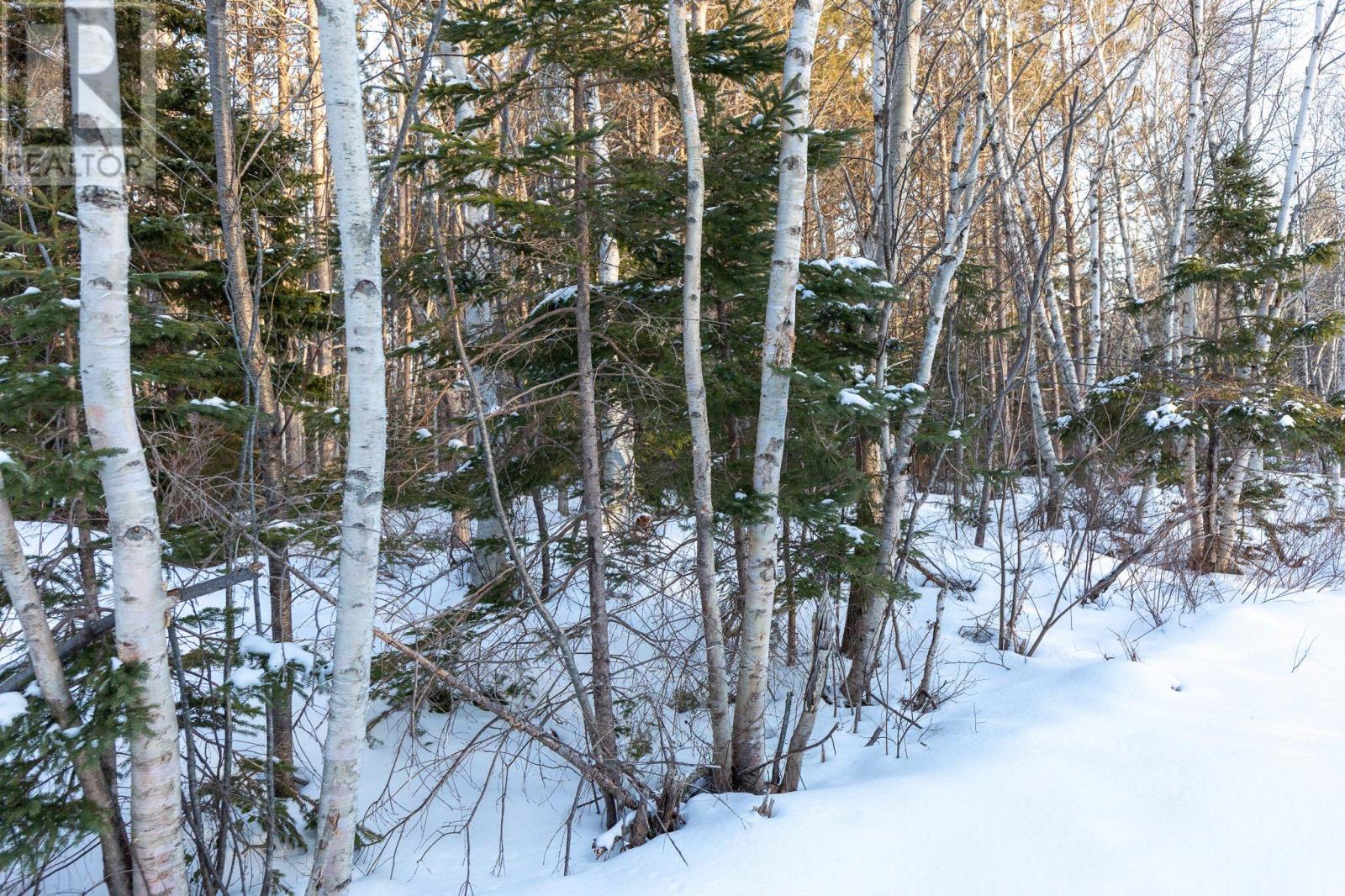 Lot 19 Swallow Point Road Property Photo 7