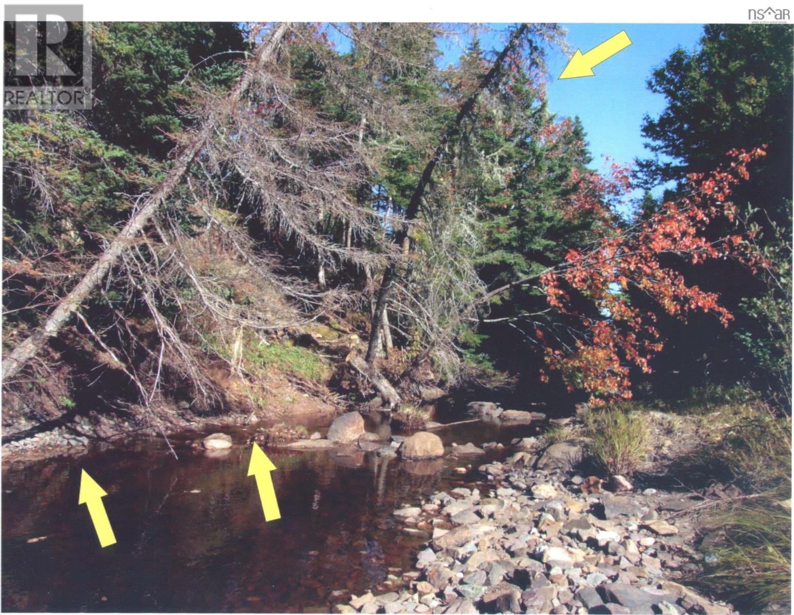 Black River Road Property Photo 2