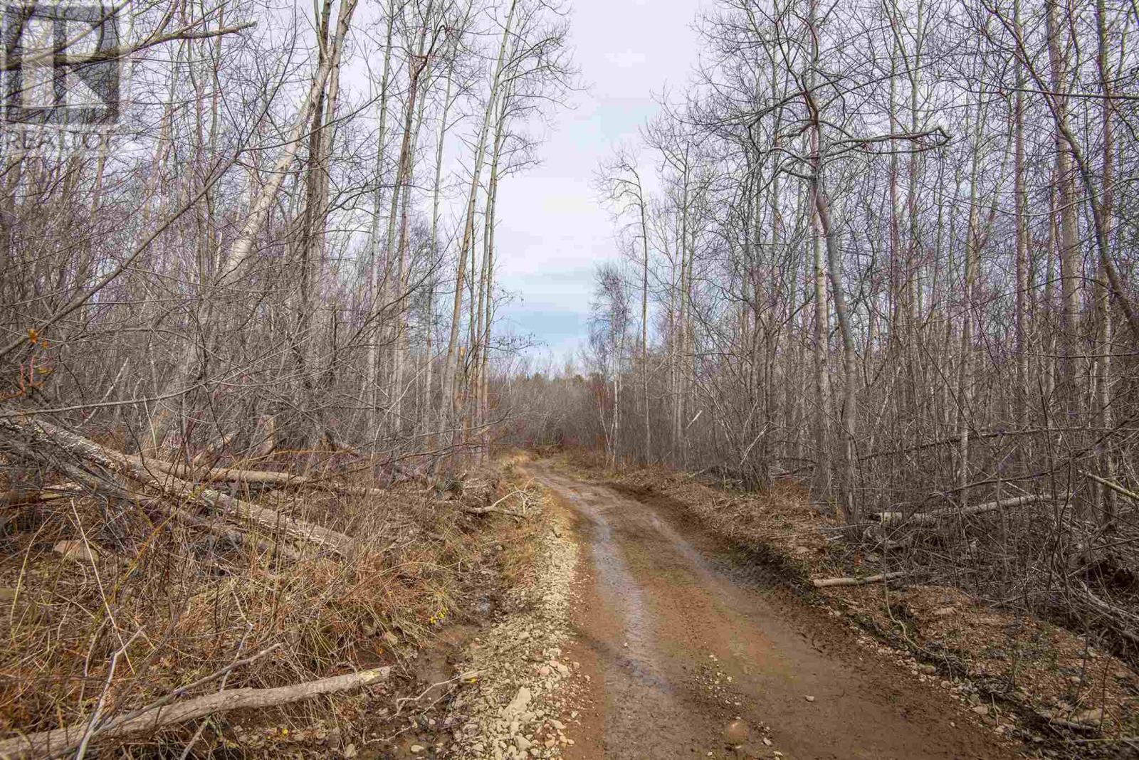 Lot Flat Iron Road Property Photo 27