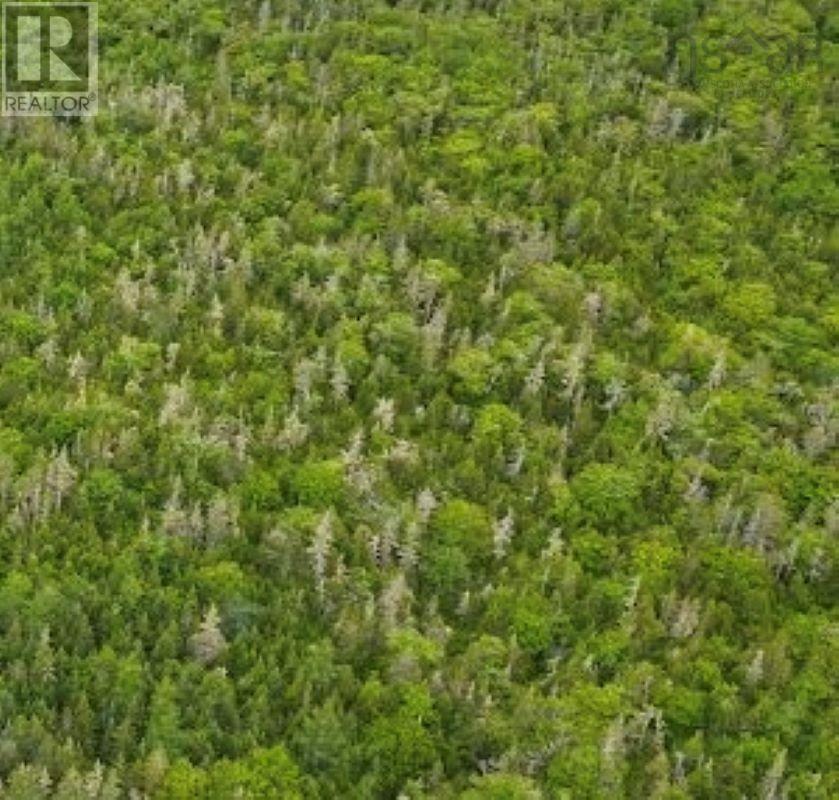 Lot Rockland Road Property Photo 2
