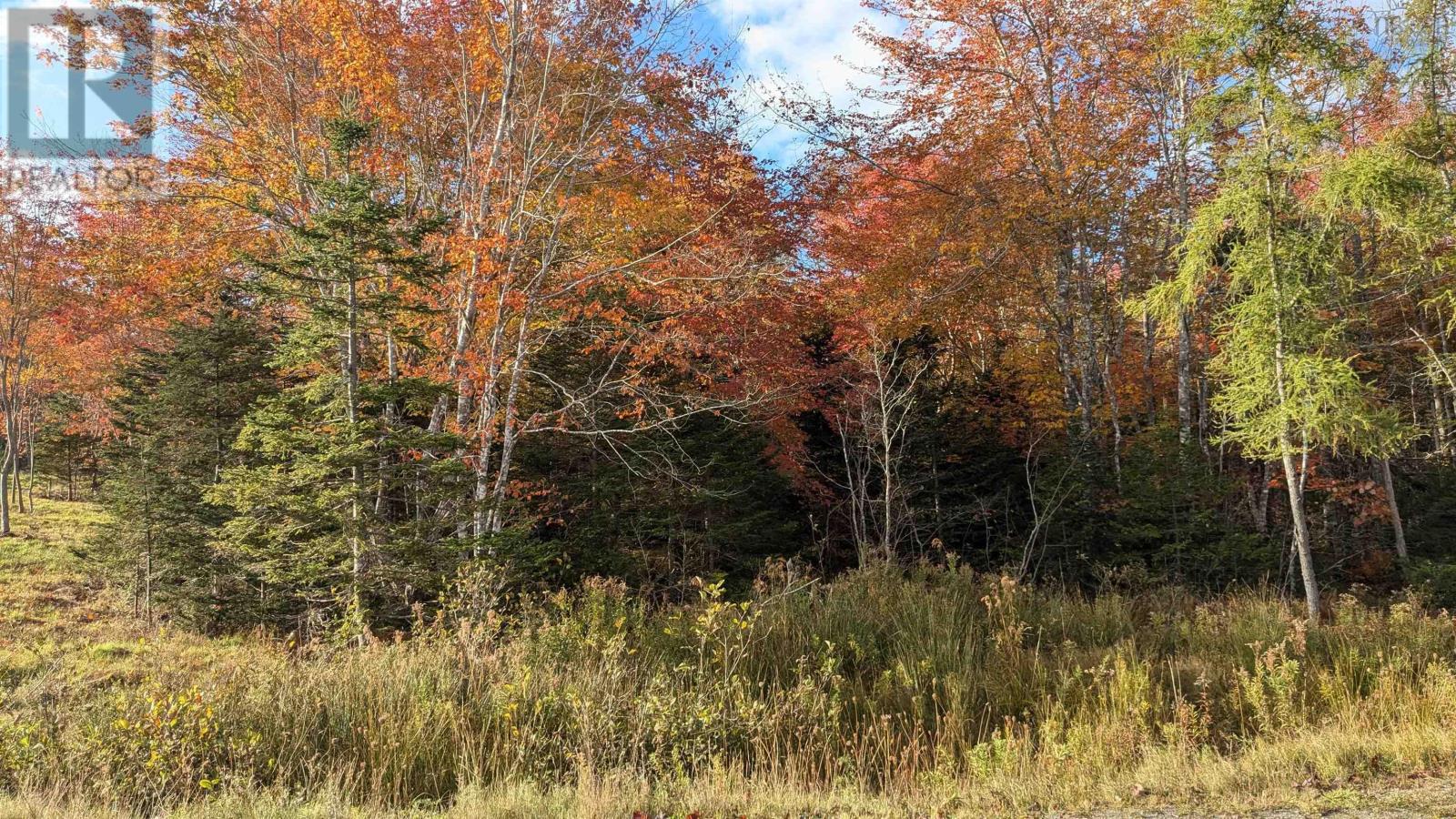 Lot 4 French Cove Road Property Photo 5