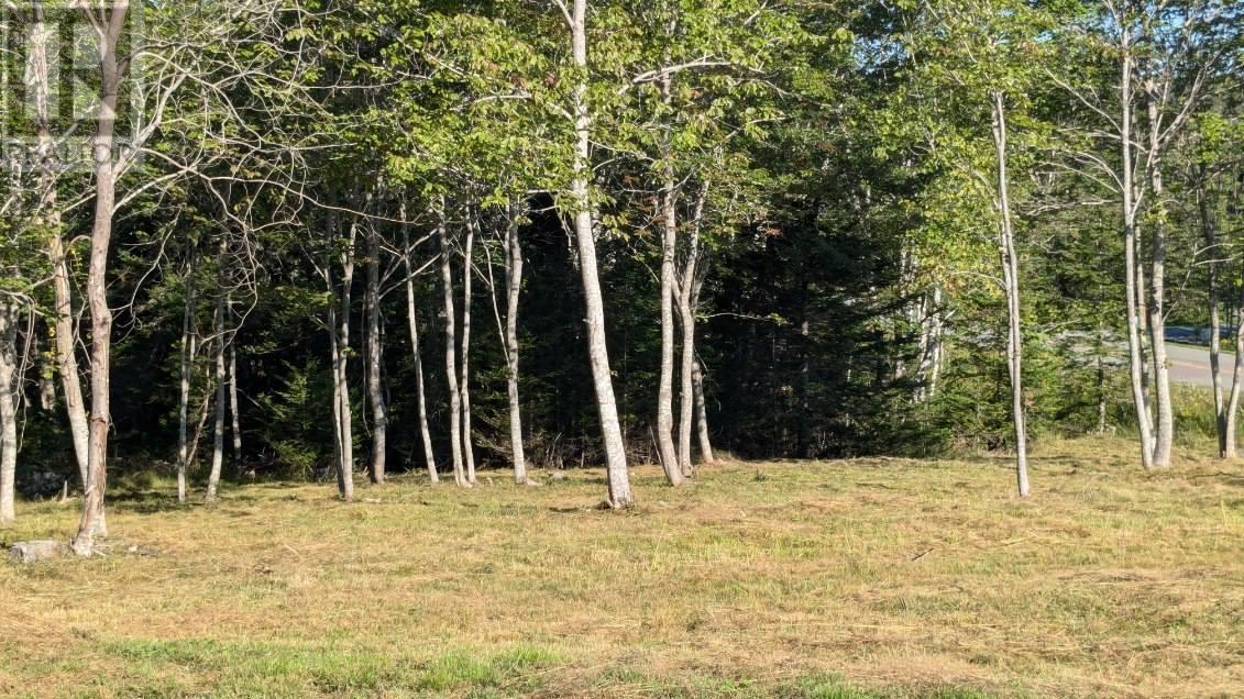 Lot 4 French Cove Road Property Photo 7