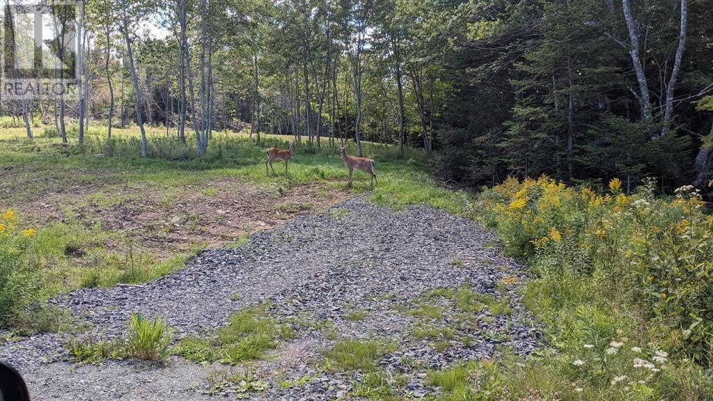 Lot 4 French Cove Road Property Photo 10