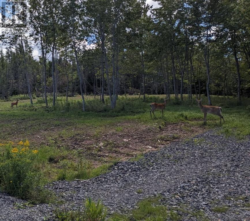 Lot 4 French Cove Road Property Photo 11
