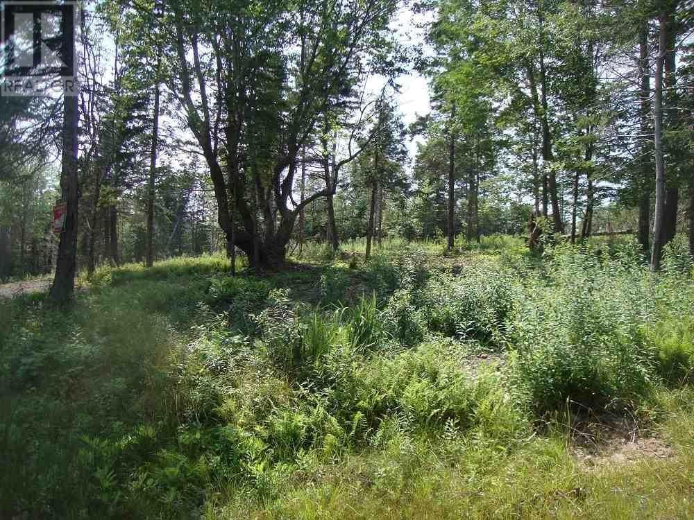 Lot 4 Macleods Pond Road Property Photo 2
