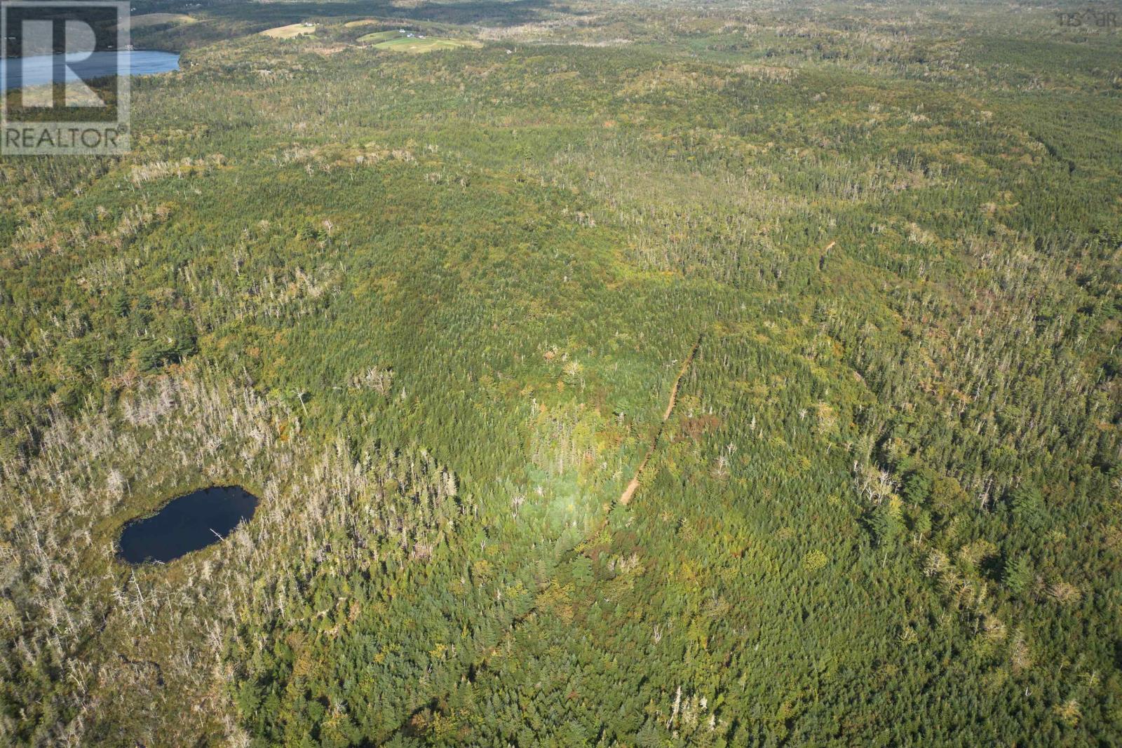 166 Acres 344 Highway Property Photo 4