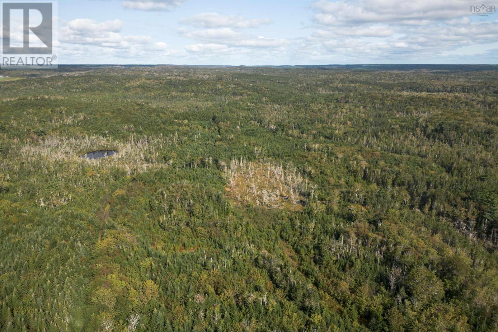 166 Acres 344 Highway Property Photo 7